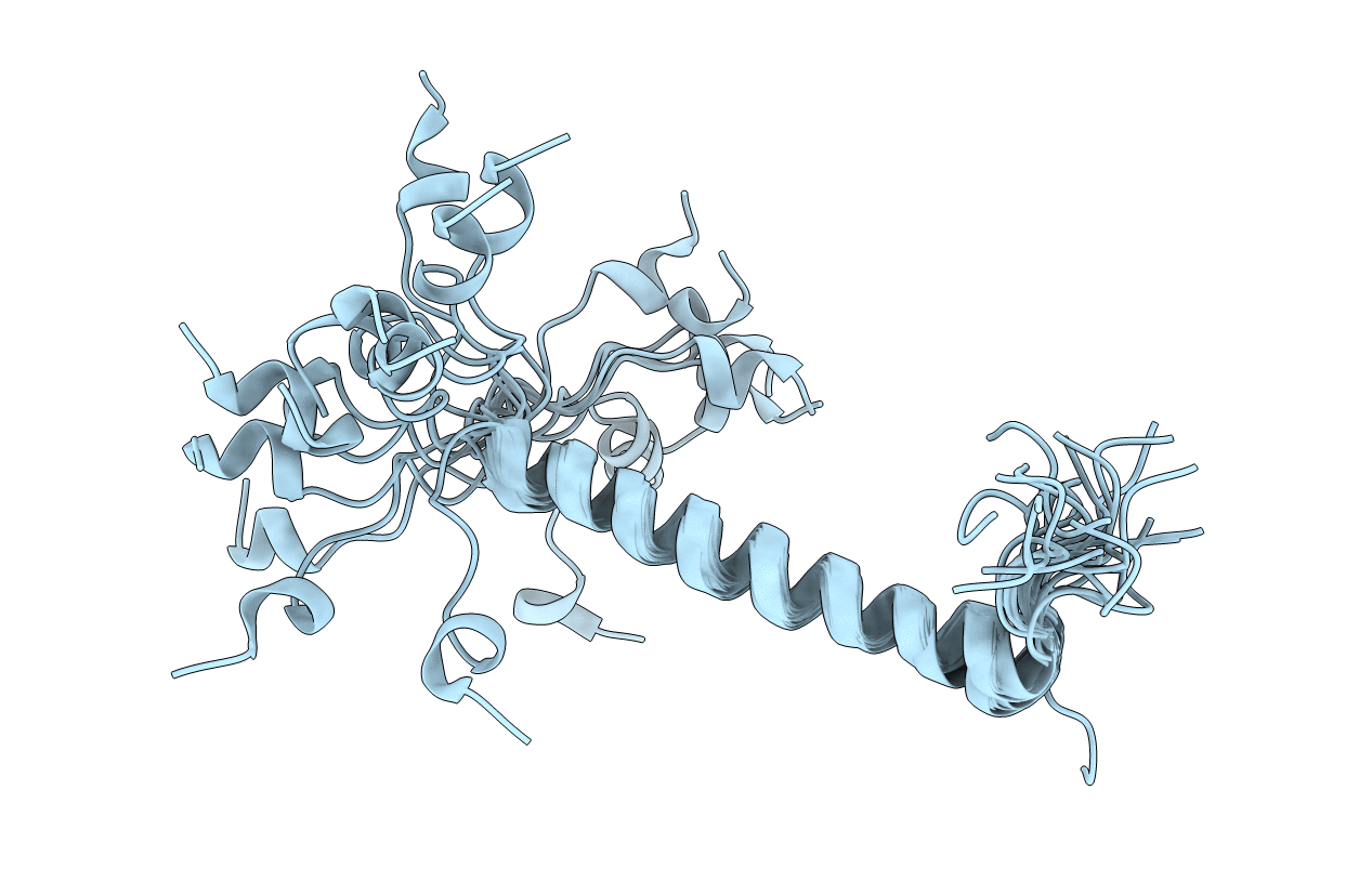 6Z0I image