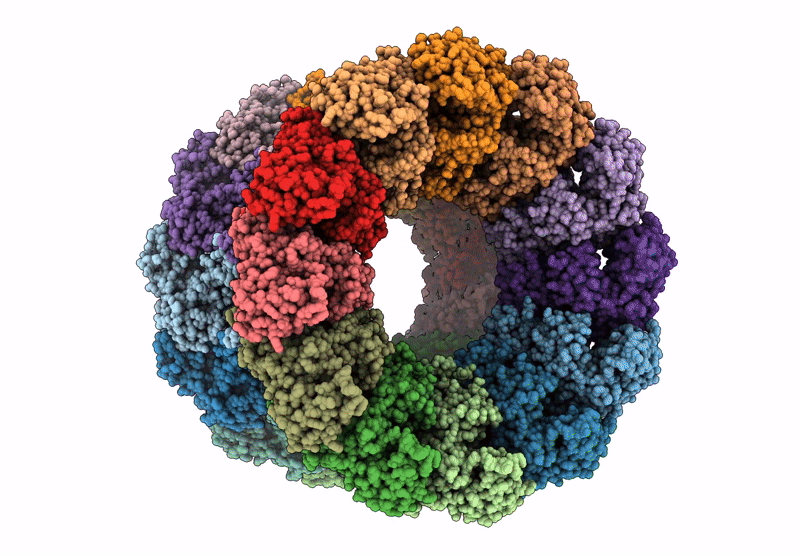 6Z0U image