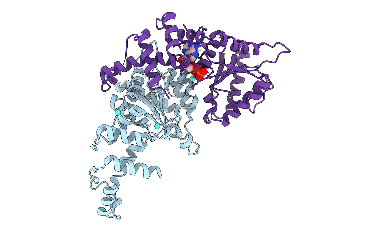 6Z1D image