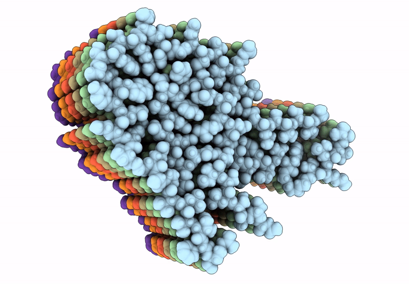 6Z1I image