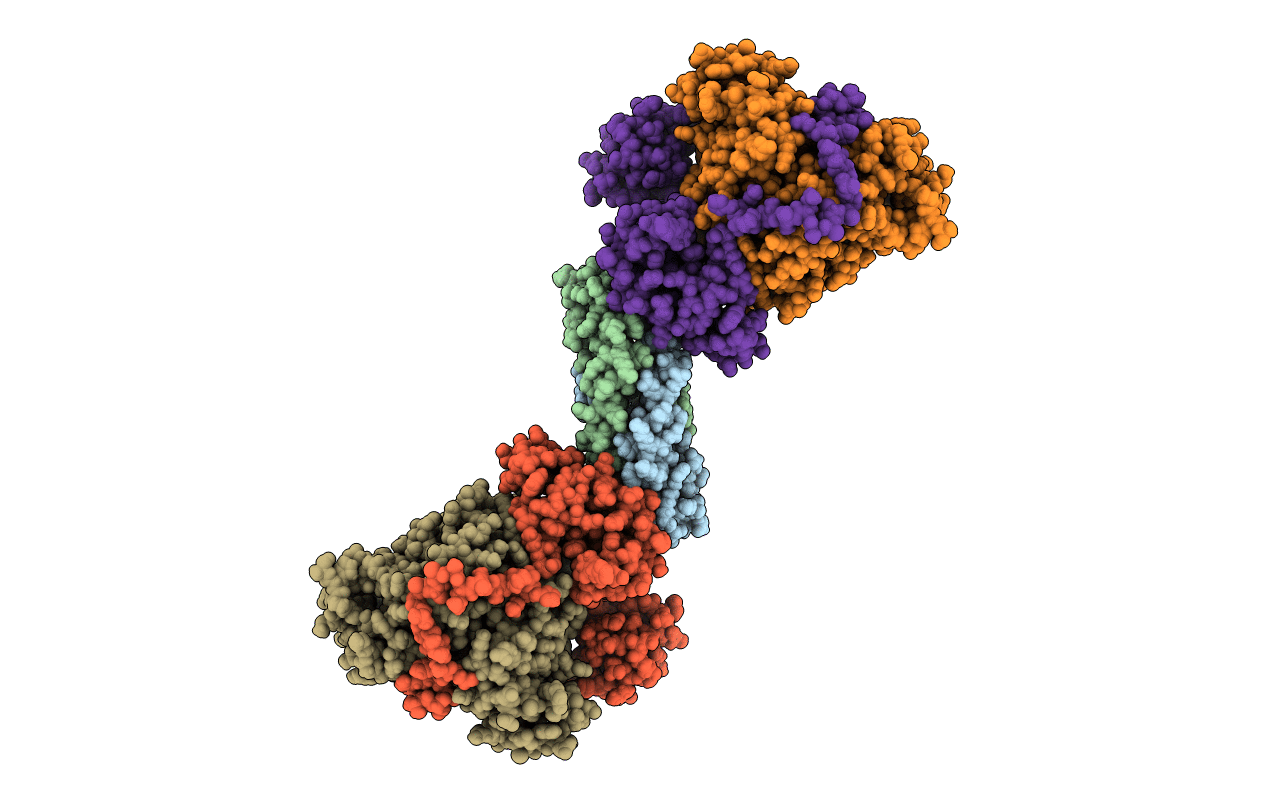6Z2J image
