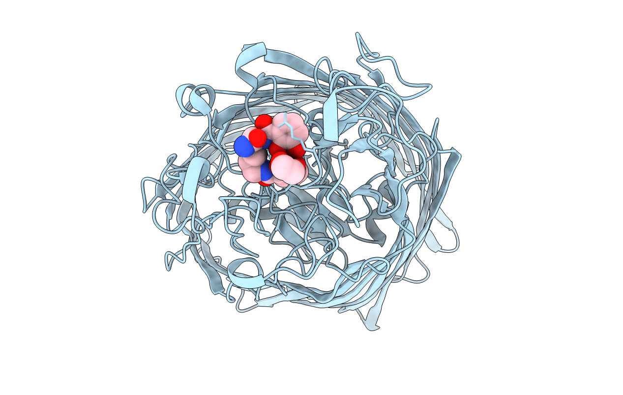 6Z2N image