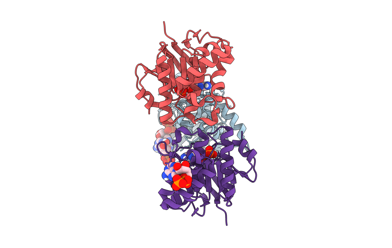 6Z63 image