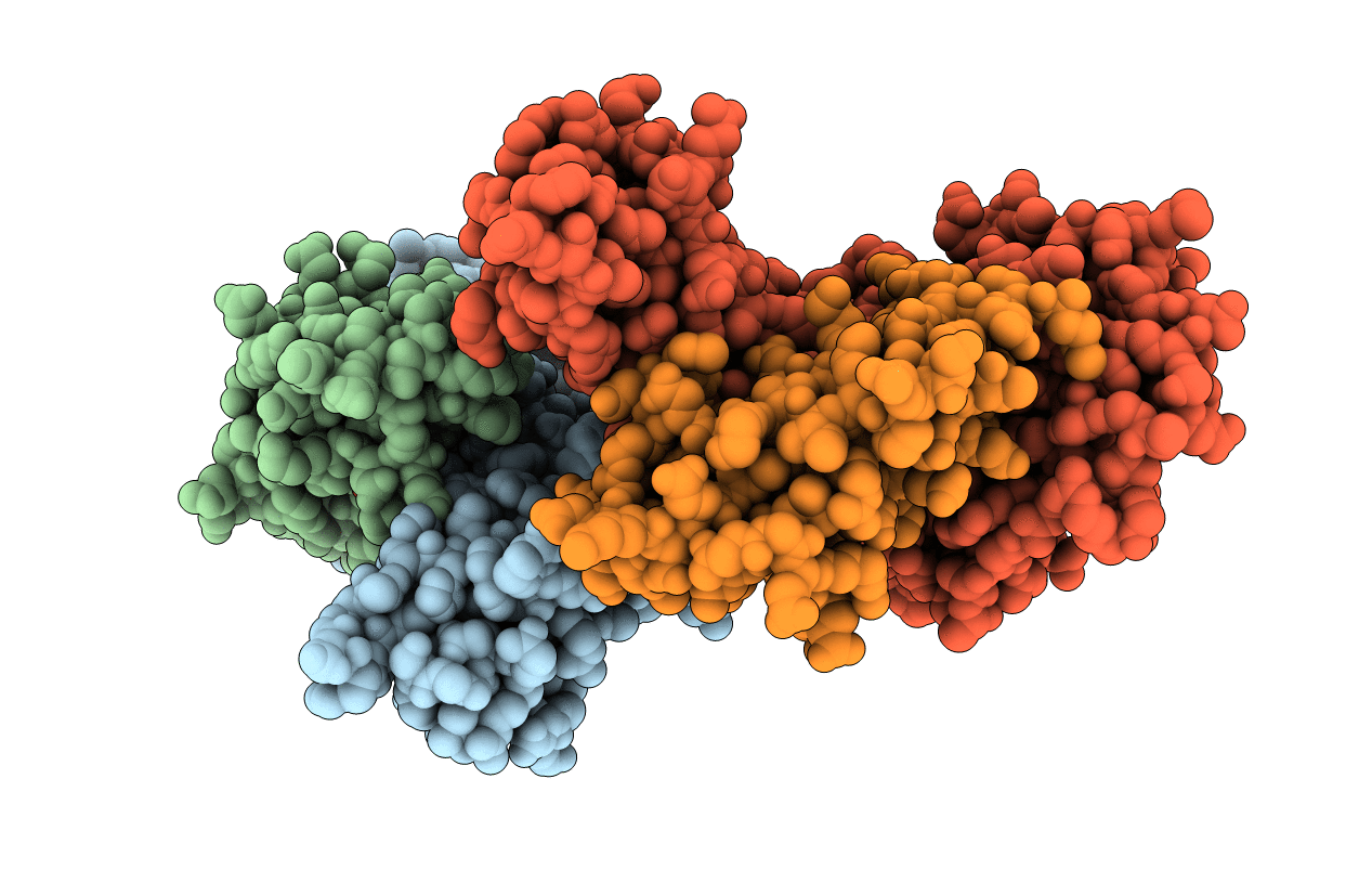 6Z9X image