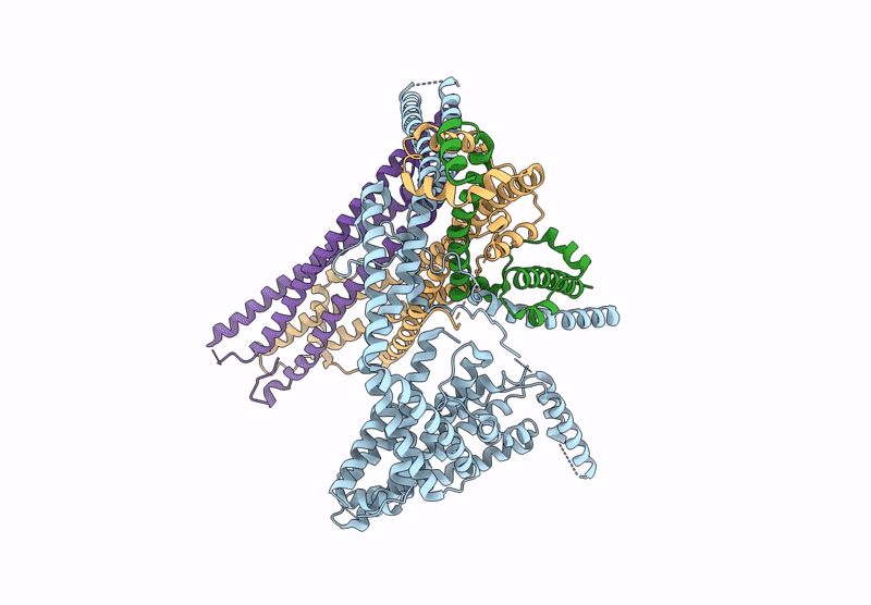 6ZBD image
