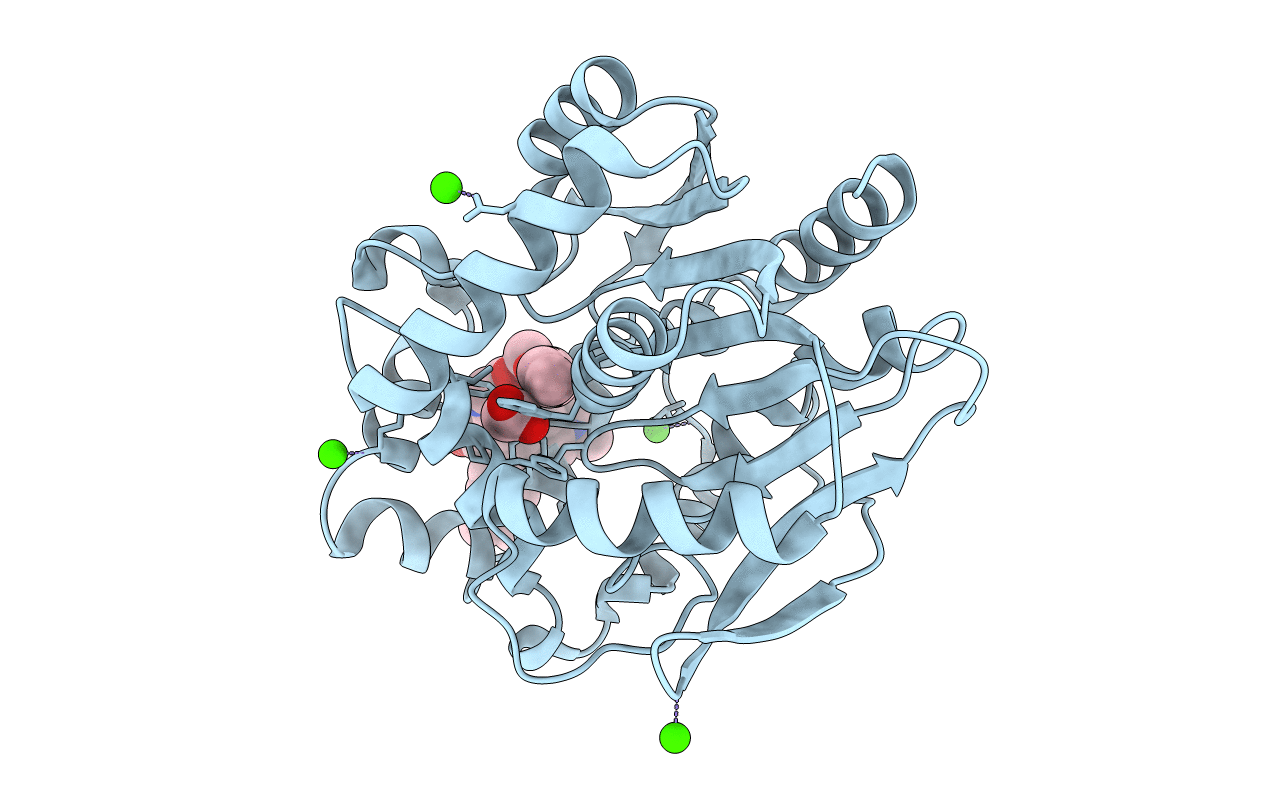6ZCC image