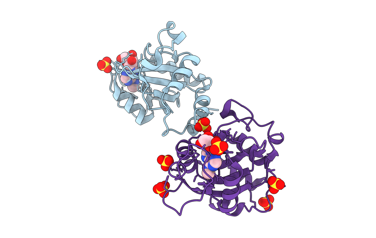 6ZDA image