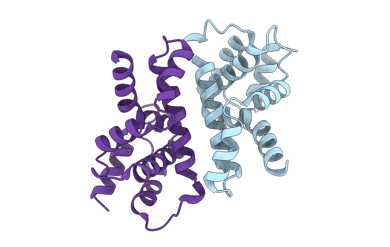 6ZDW image