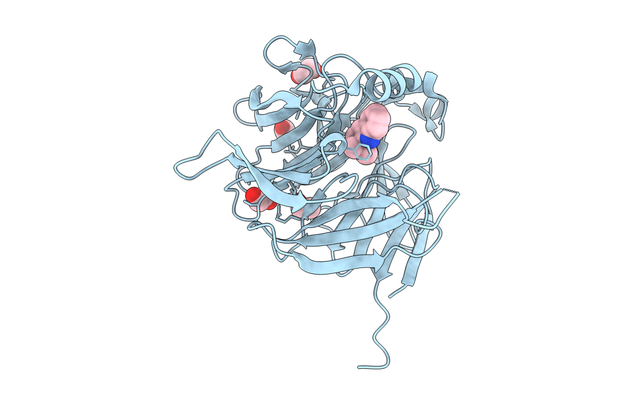 6ZEA image
