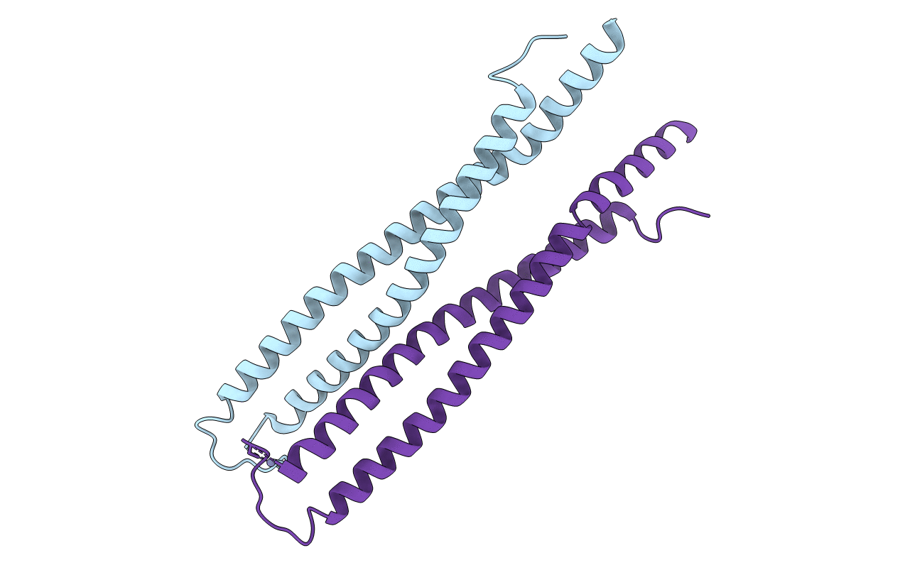 6ZFF image