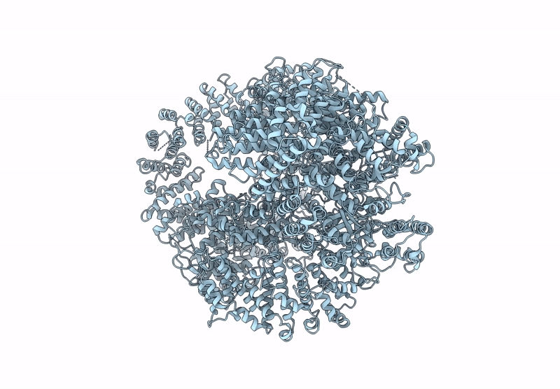 6ZFP image