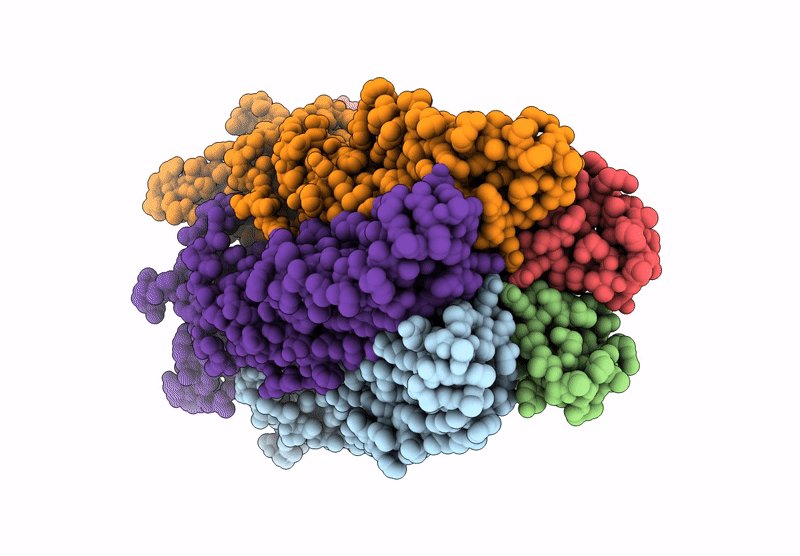 6ZGJ image