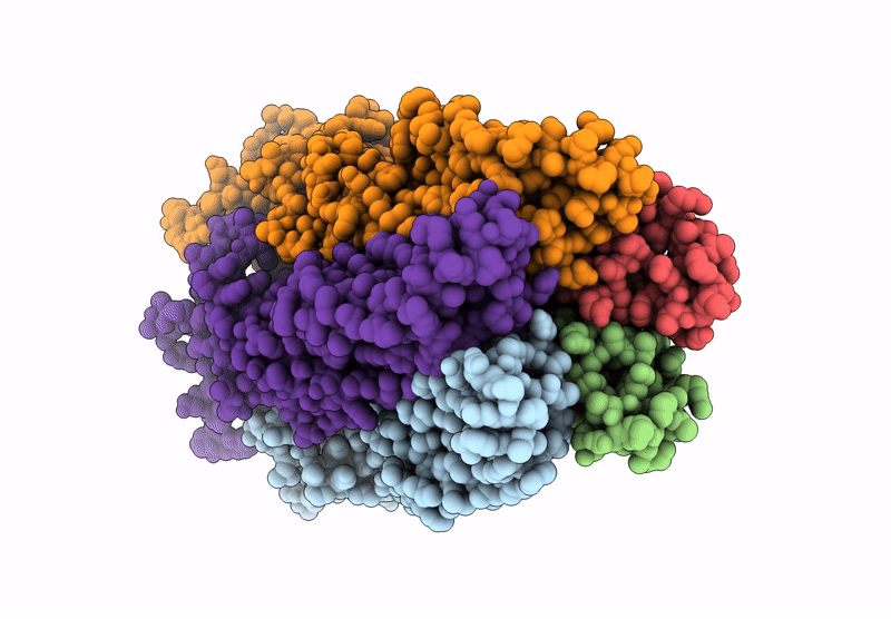 6ZGK image