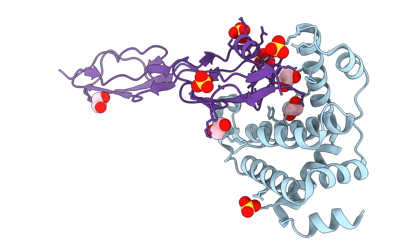 6ZH1 image