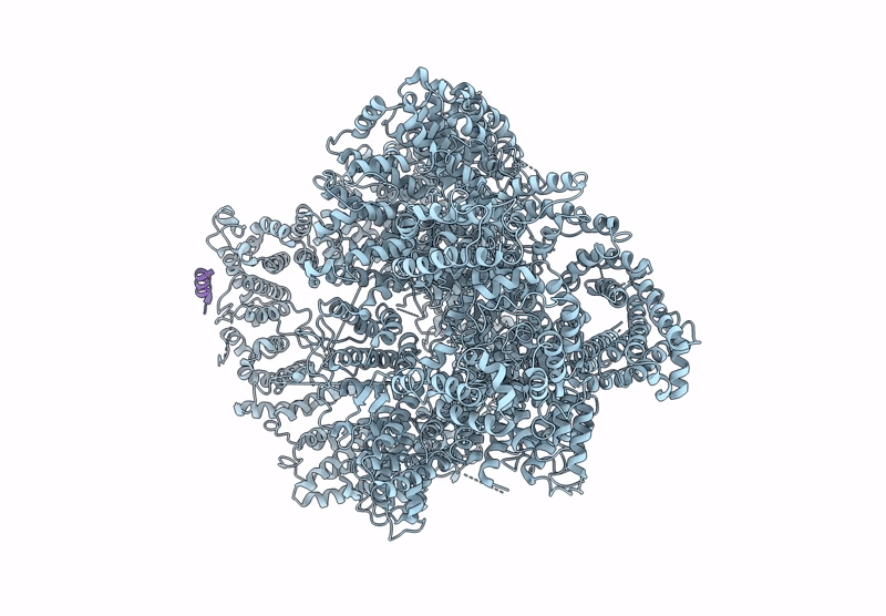 6ZH6 image
