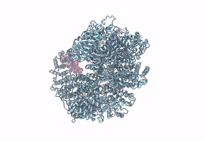 6ZH8 image
