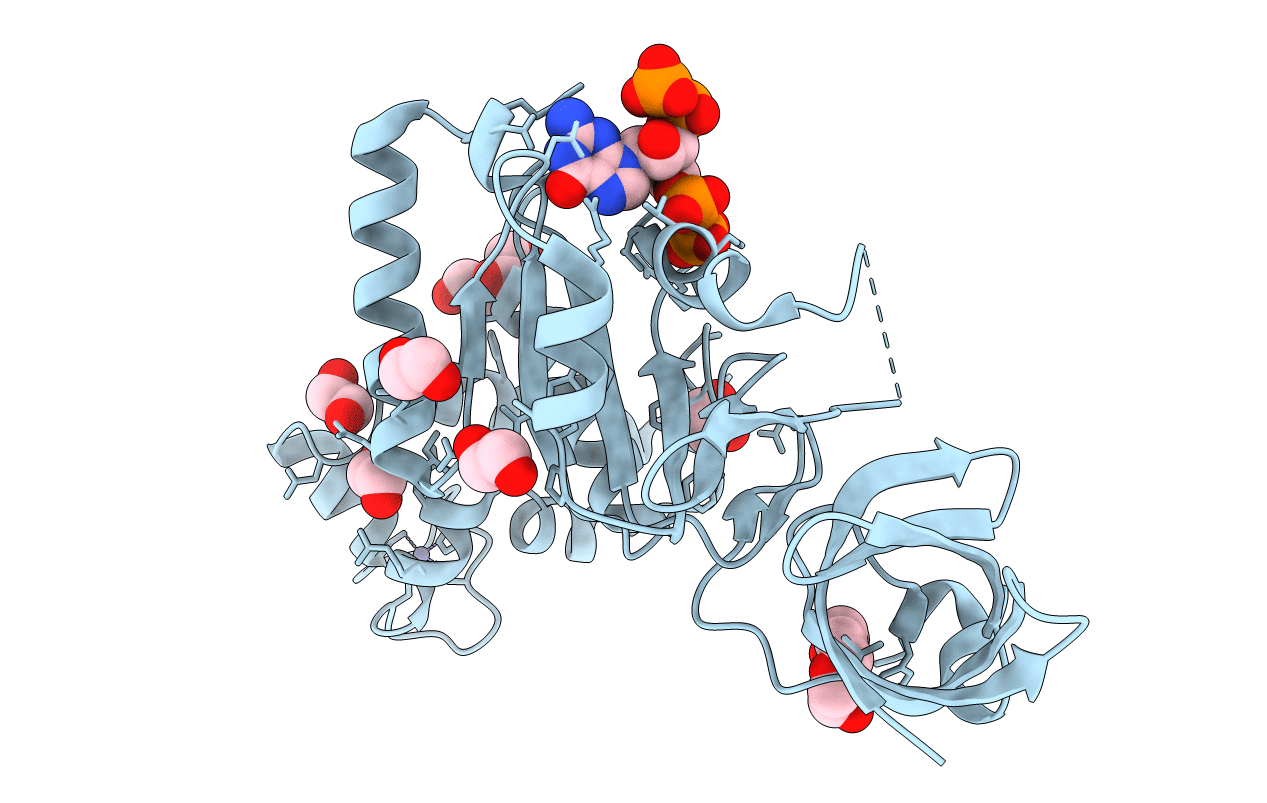 6ZHL image