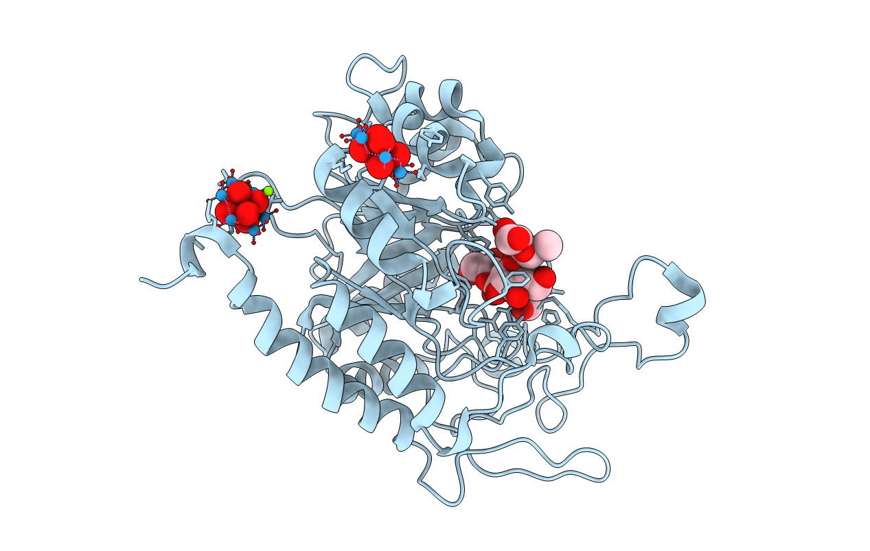 6ZJ1 image