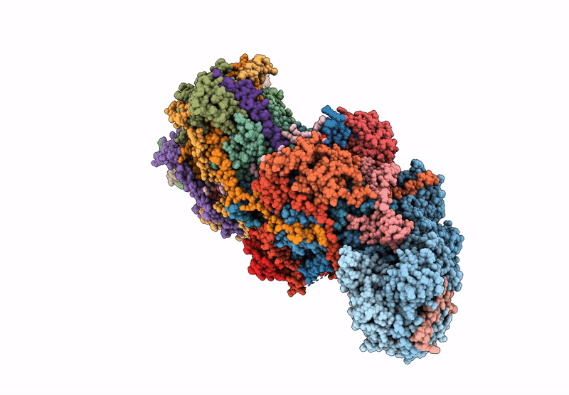 6ZKH image