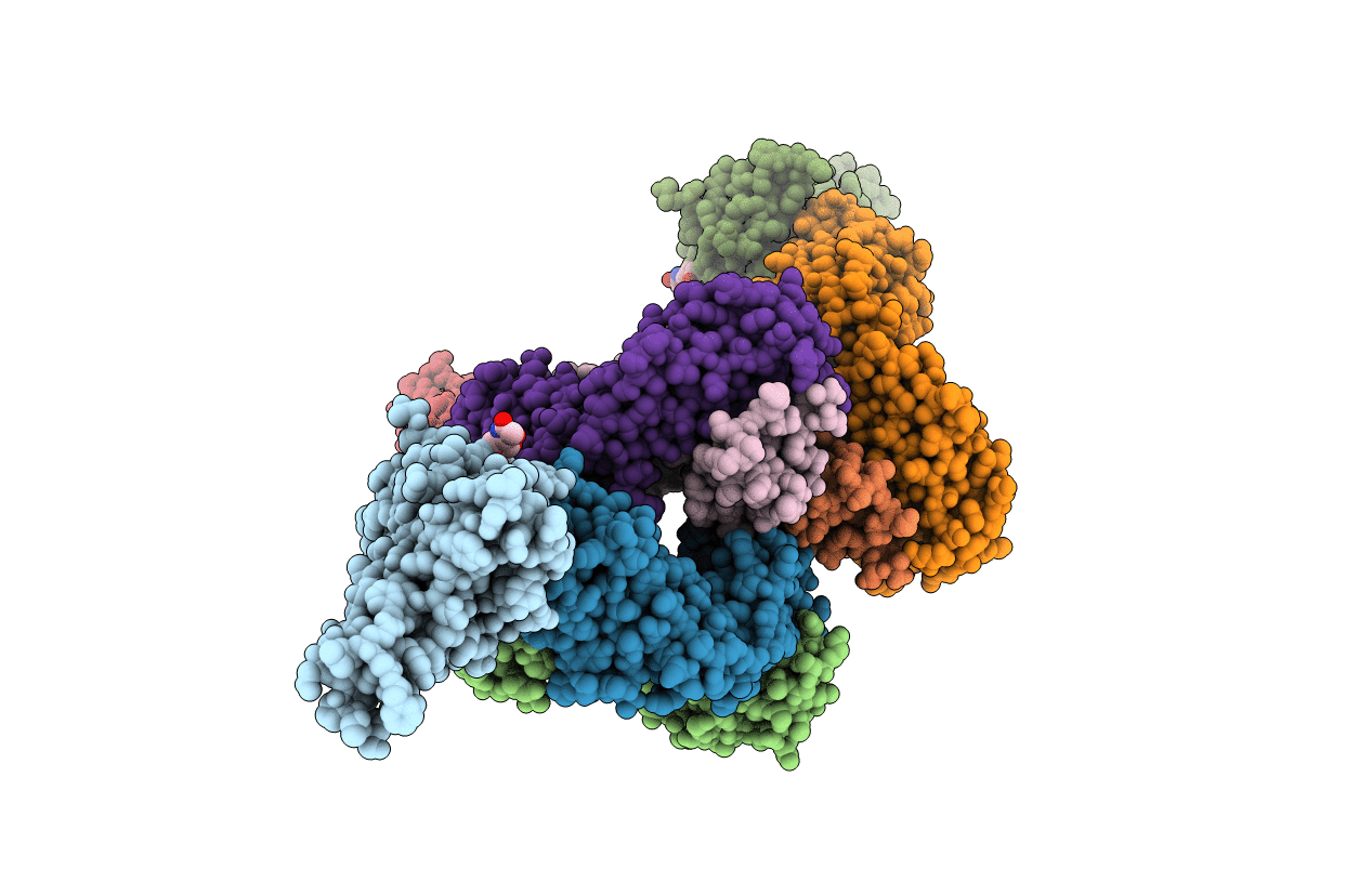 6ZLR image