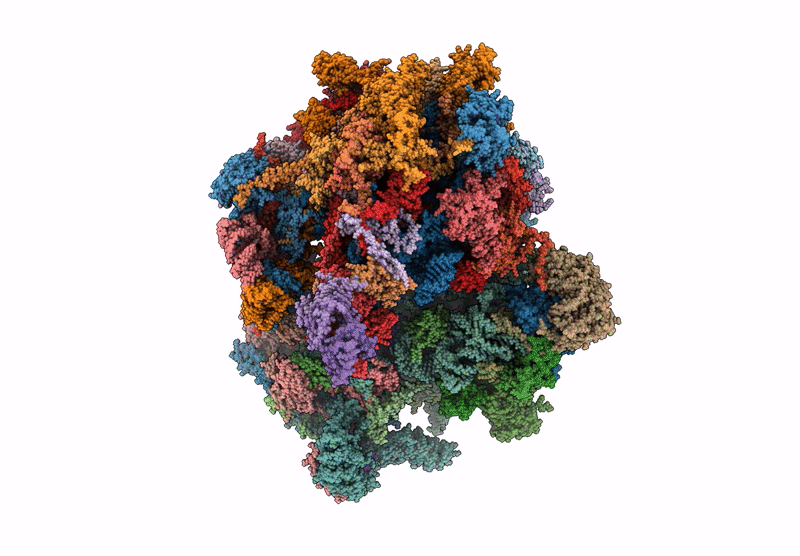 6ZM6 image