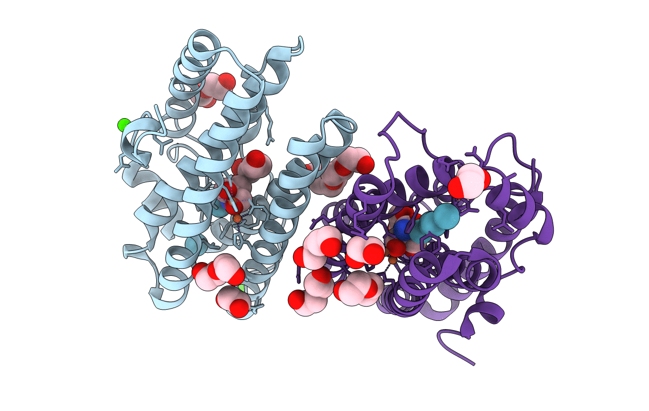 6ZMA image