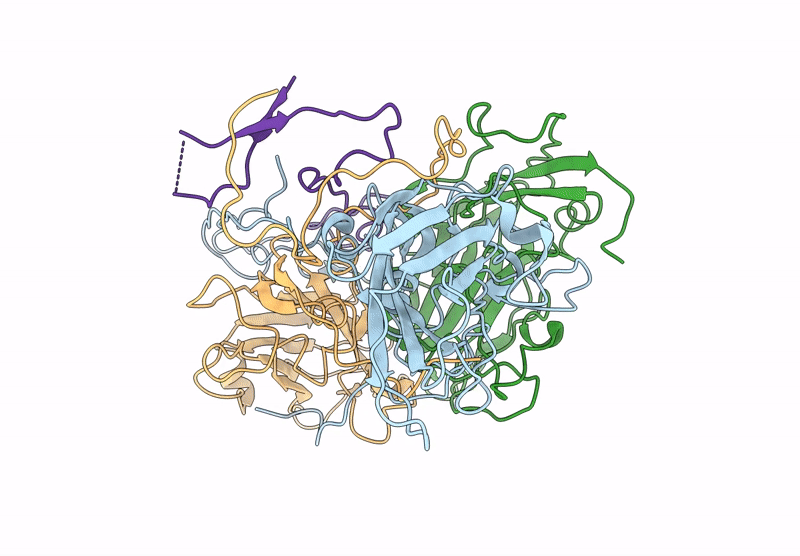 6ZMS image