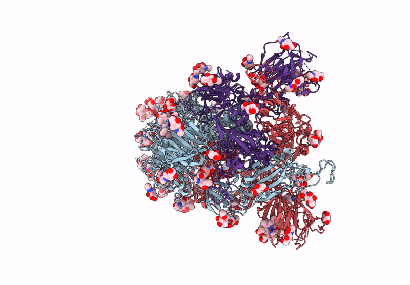 6ZOZ image