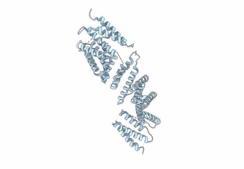 6ZPG image