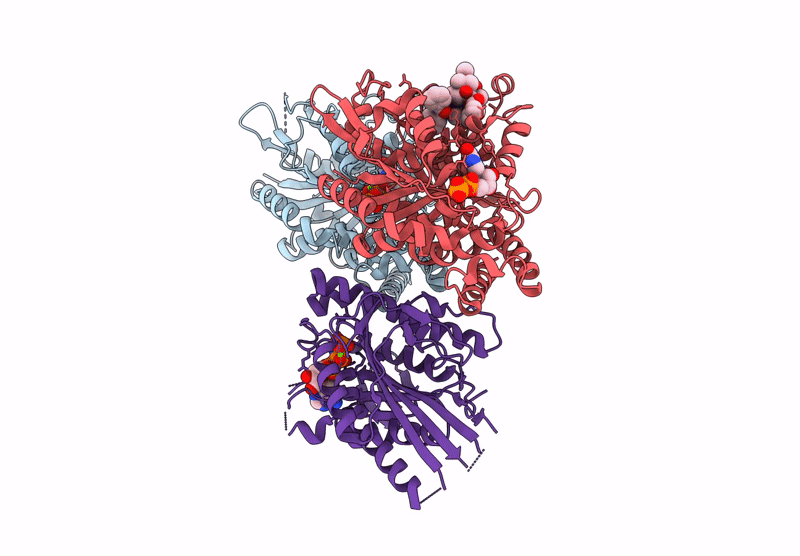 6ZPI image