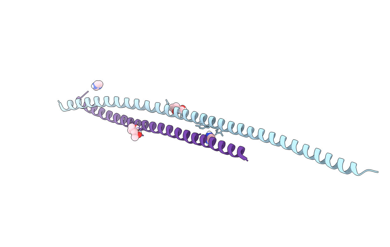6ZPJ image