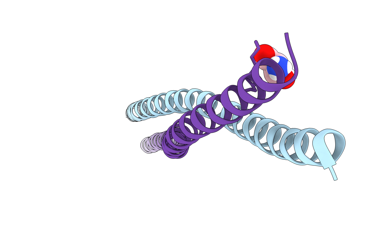 6ZPM image