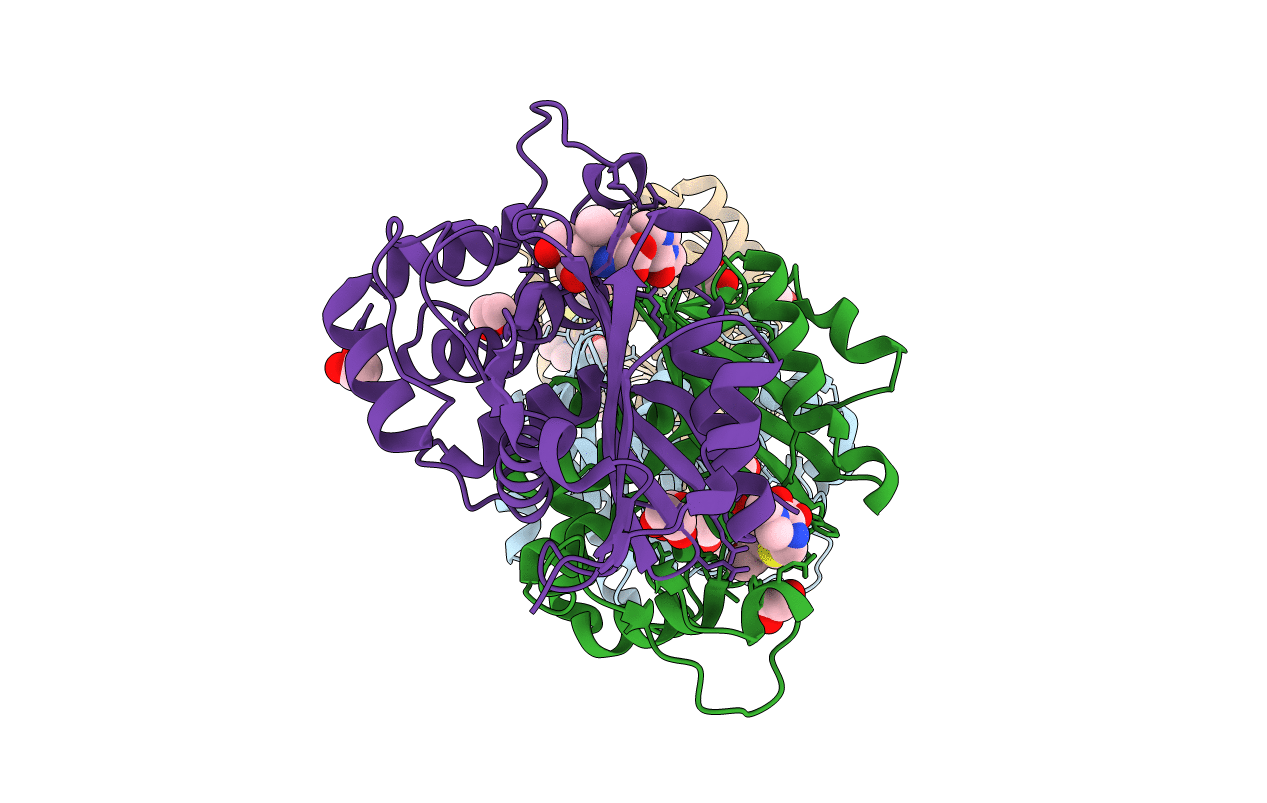 6ZRI image