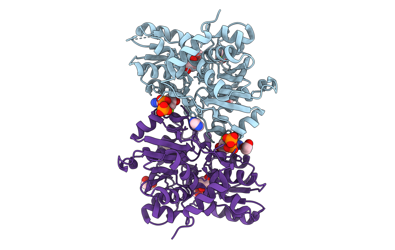 6ZSP image