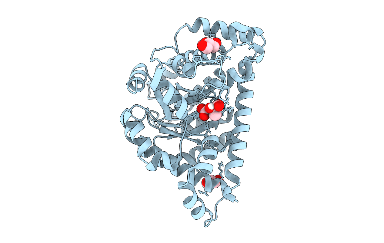 6ZX4 image