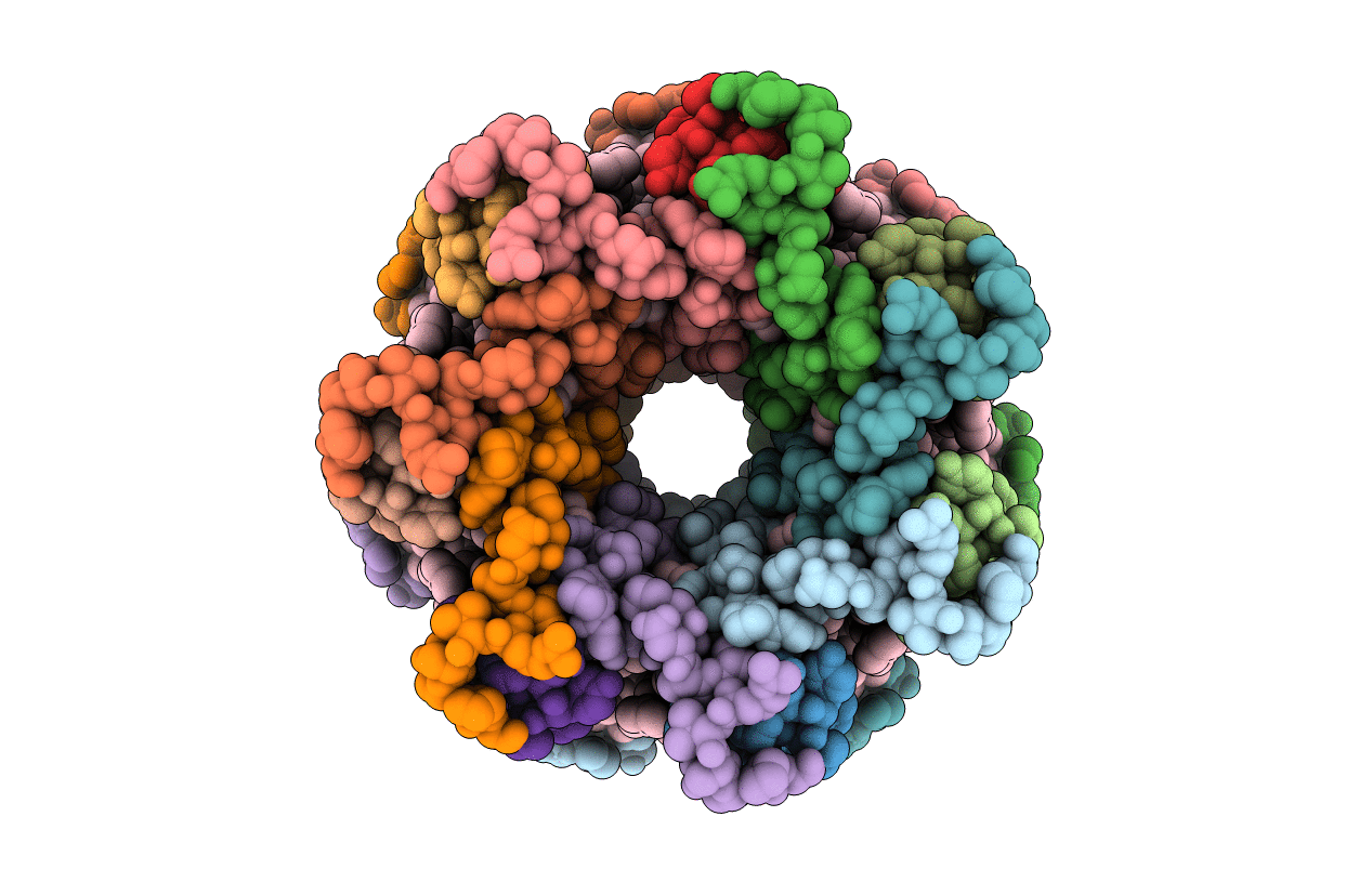 6ZXA image