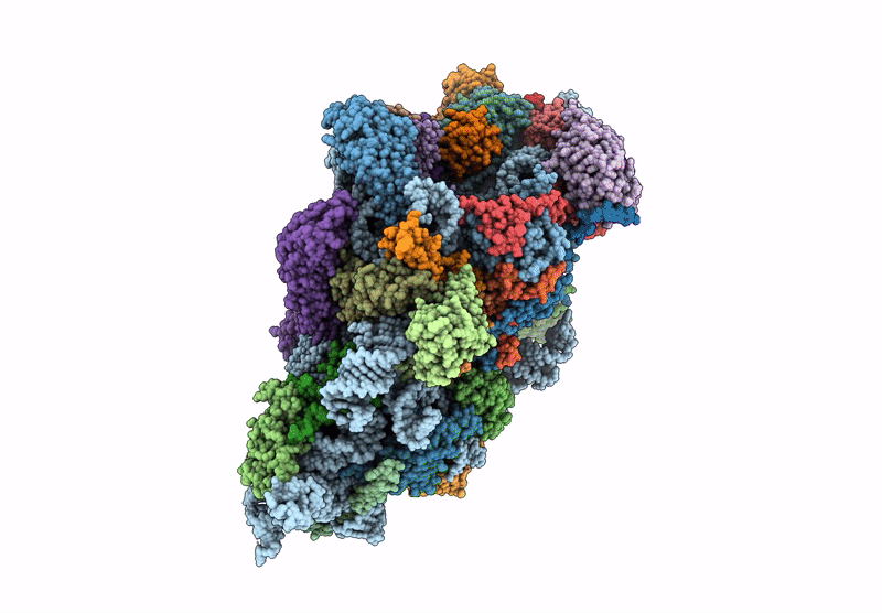 6ZXG image