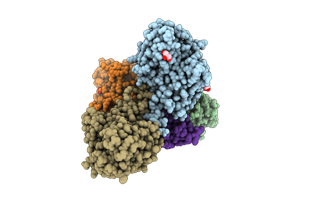 7A0V image