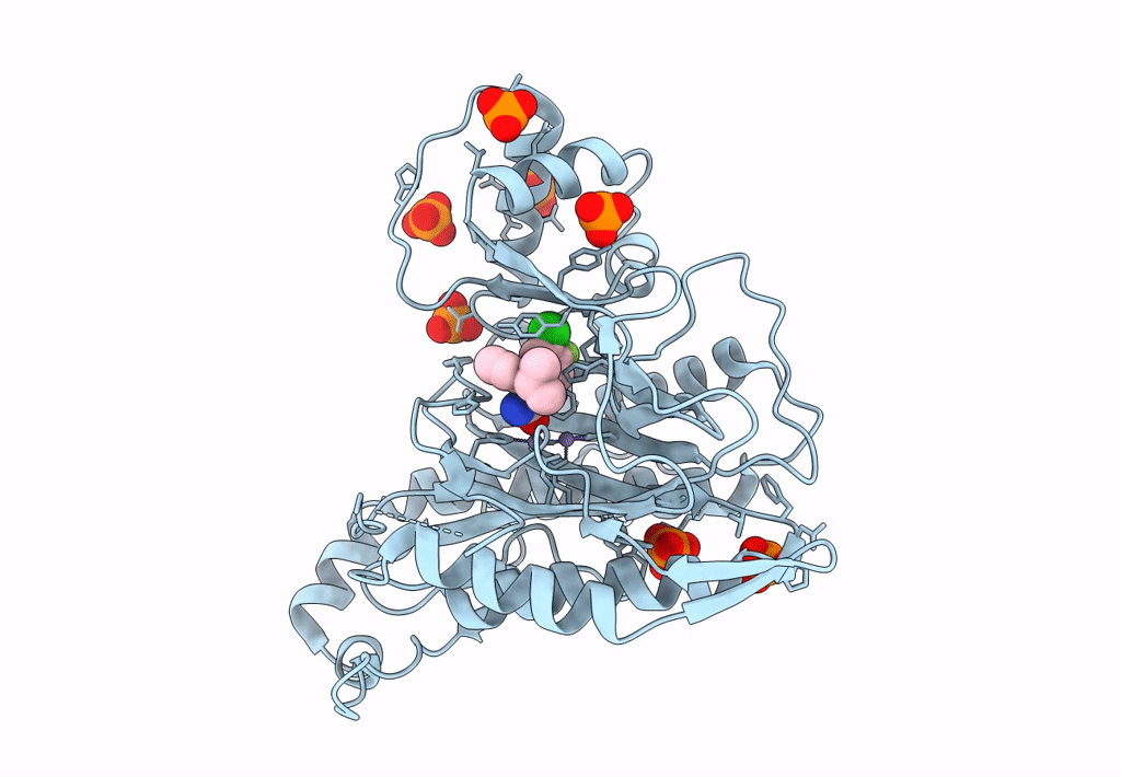 7A14 image
