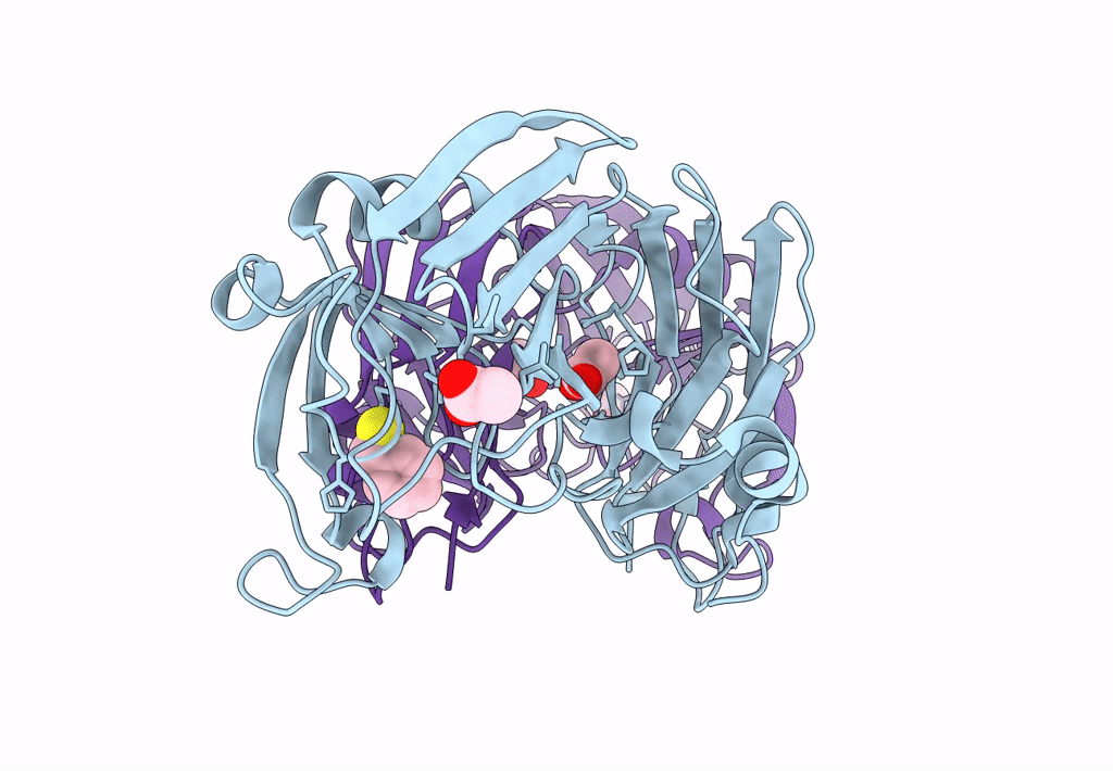 7A1E image