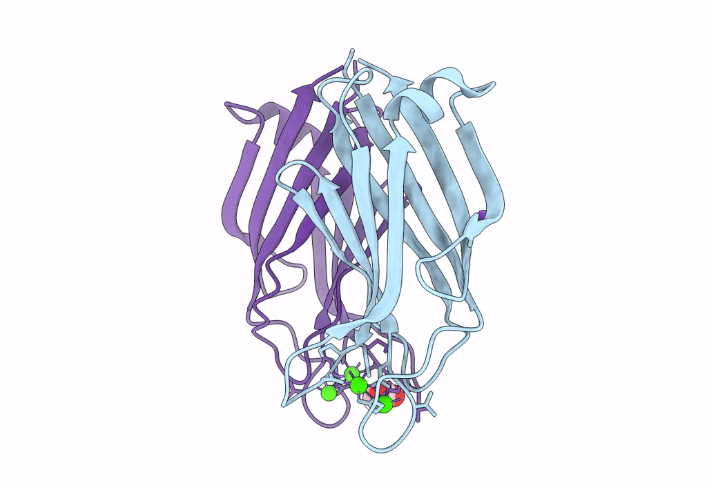 7A1R image