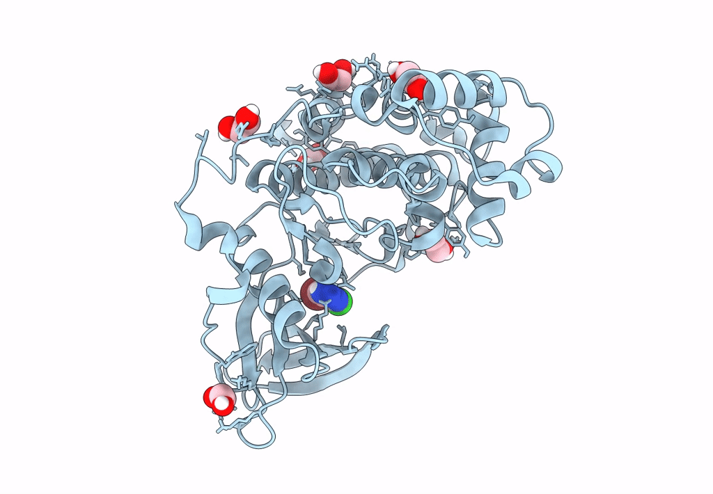 7A1Z image