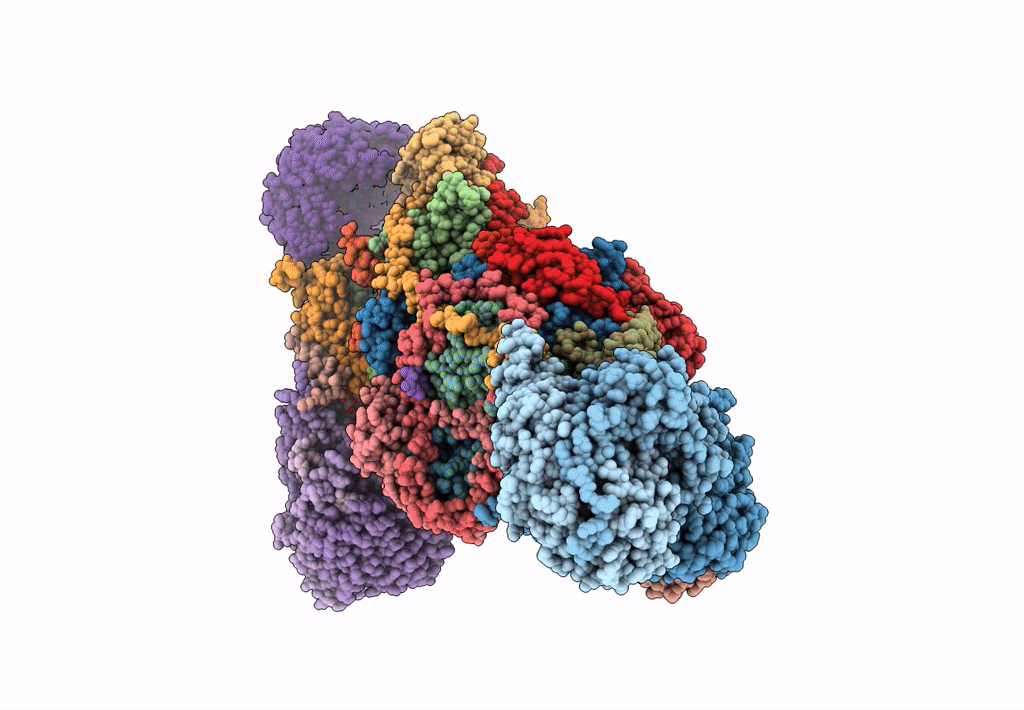 7A24 image