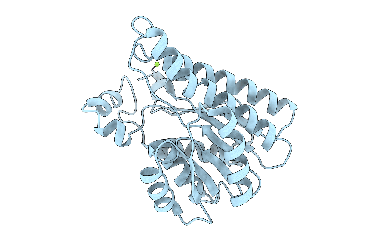 7A2B image