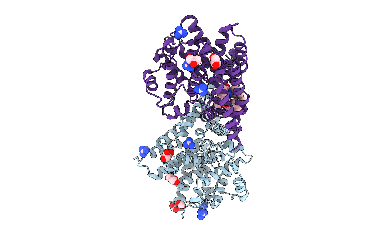 7A2F image