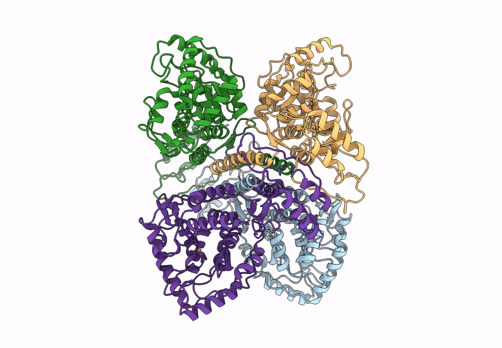 7A2G image