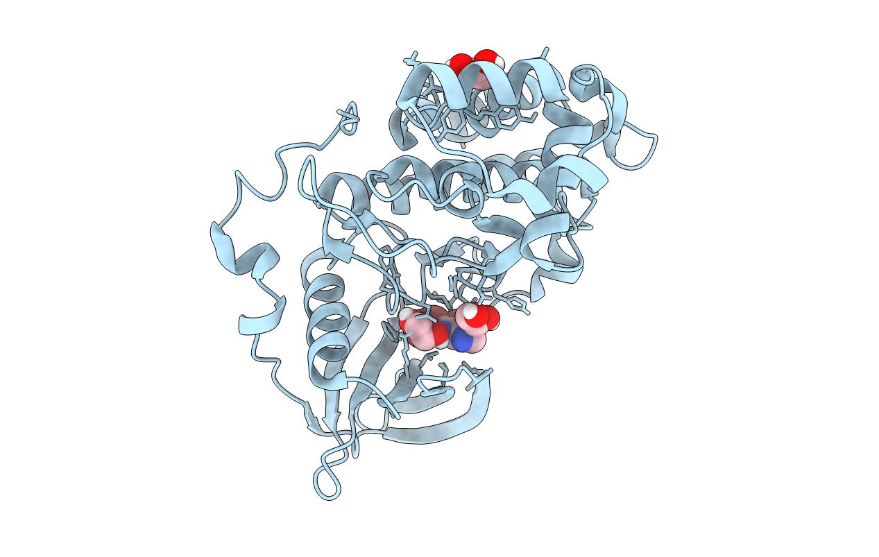 7A2H image