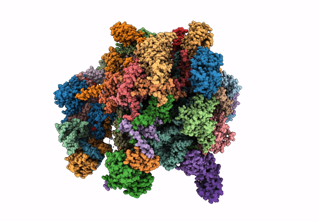 7A5H image