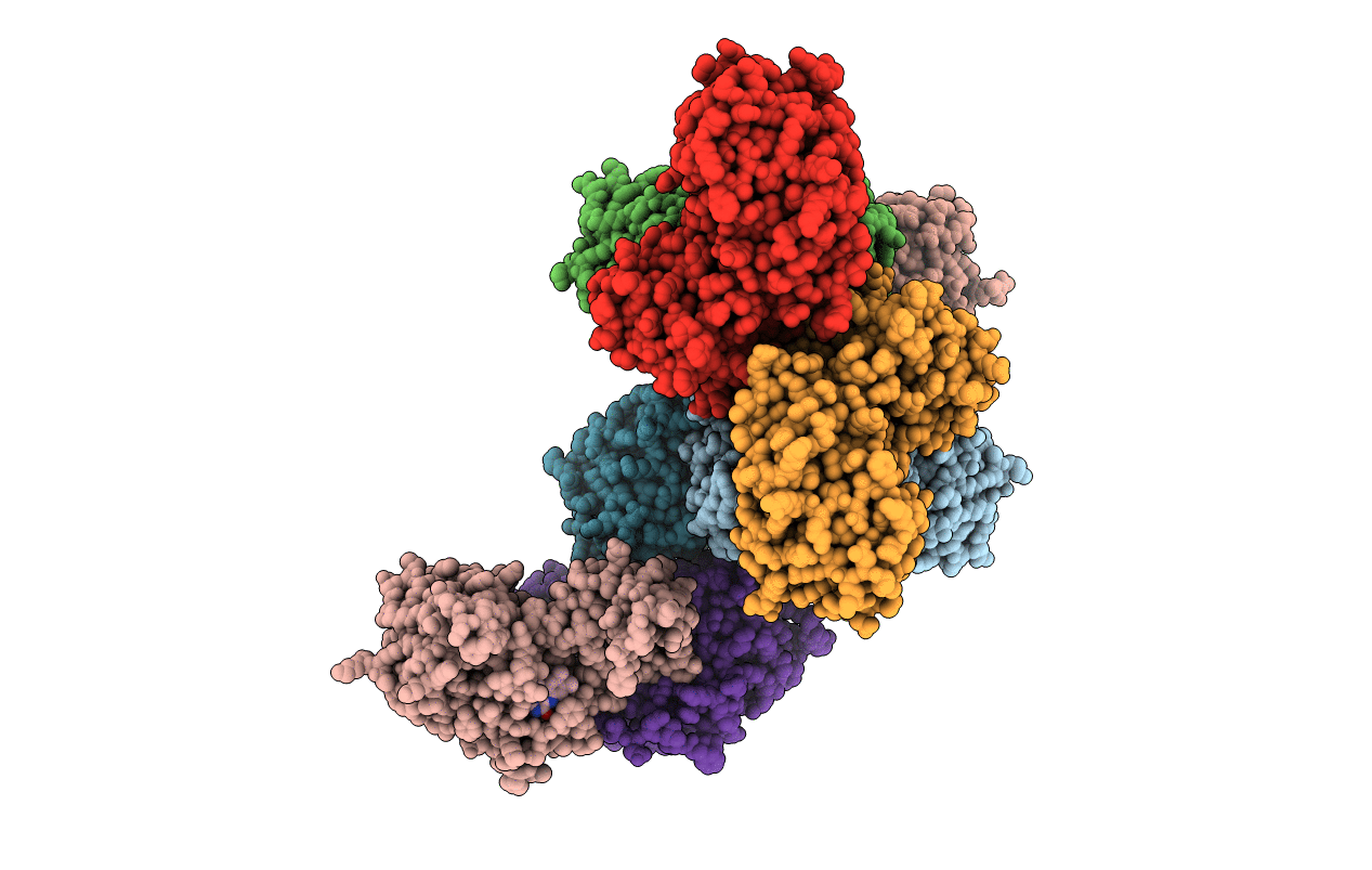7A7B image