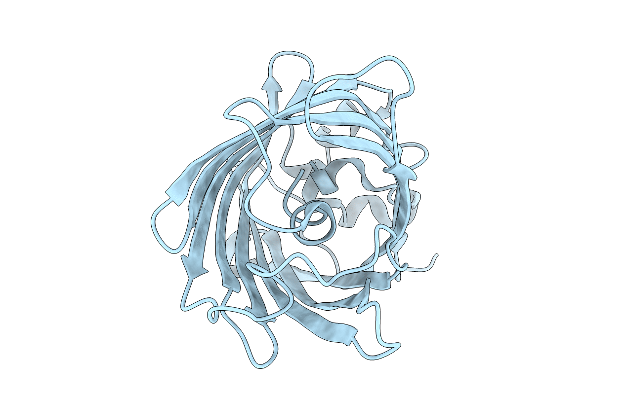 7A7M image